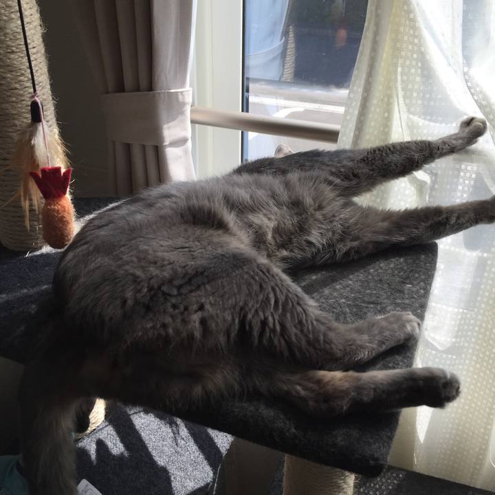 69644cc2 59b2 49c7 9f32 6a623e2316d4