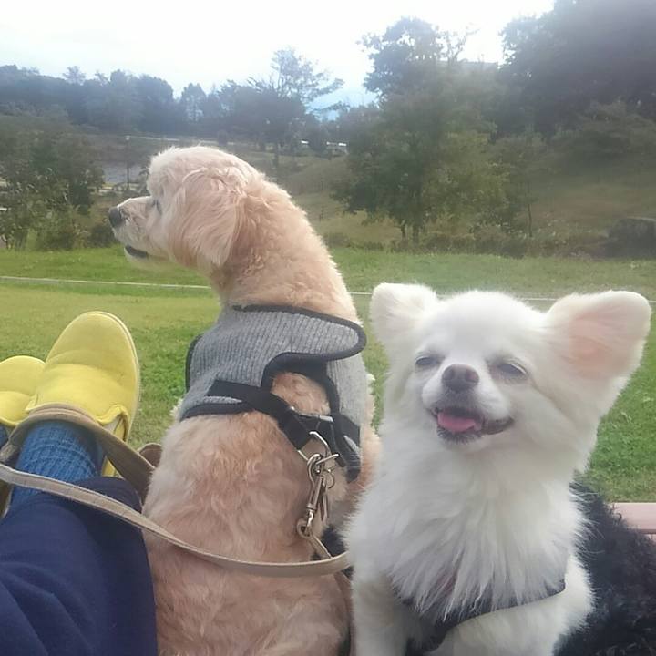 69645abf 51d5 4d3f b12a fbd0a30d11fd