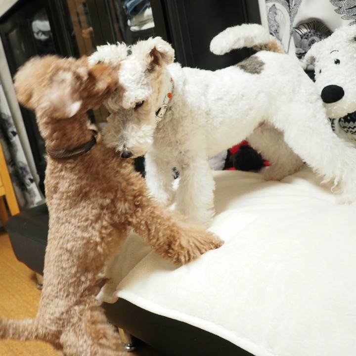 6964ff8b 8eeb 4823 83f9 7fbc4e31bf97