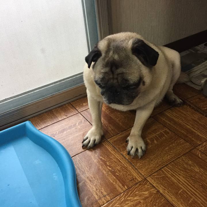 6965964c 7db1 432b 89ec ff5cf87d3c18