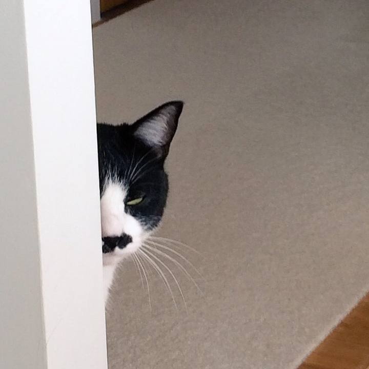 69663b0b 9f60 4136 988e 4c70c56a6fc5