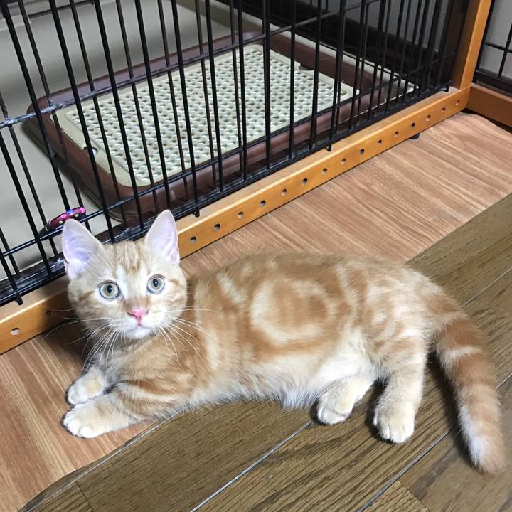 6966ec85 f3bb 434e ba0d ac91efaf714d