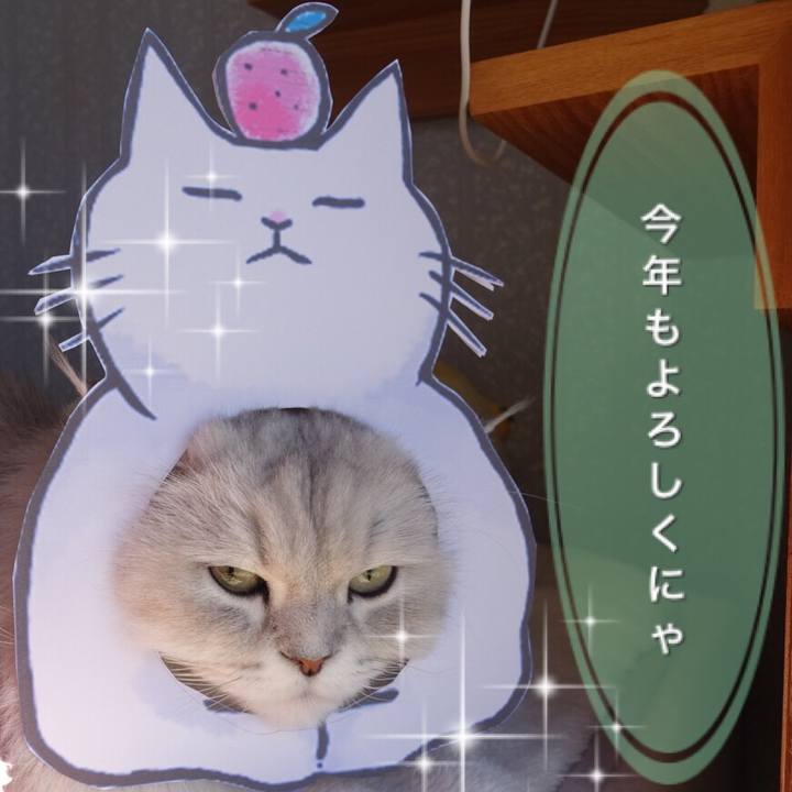 69670ba5 5ba8 4fef b197 e6e73f8fb23d