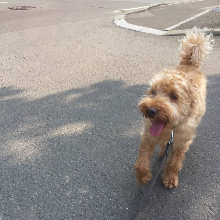 696717db b896 4763 8949 c486f30e95eb