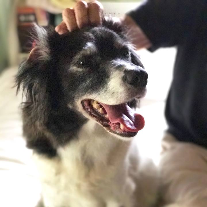 69675a63 5f67 4650 8832 fbb8c4413045