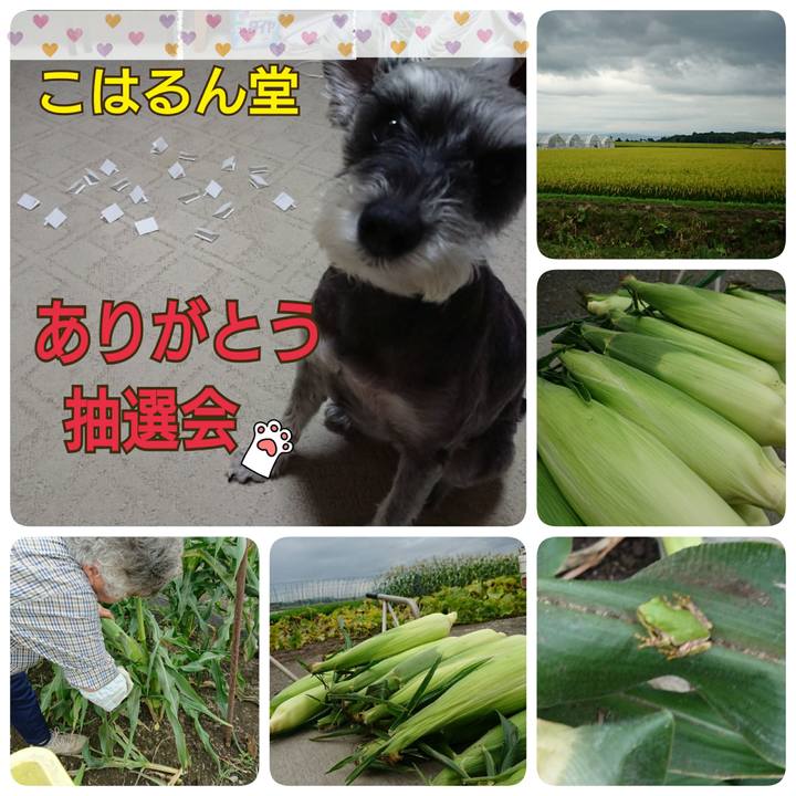 696799a8 d5eb 4543 8cfc 5e98091ad4f5