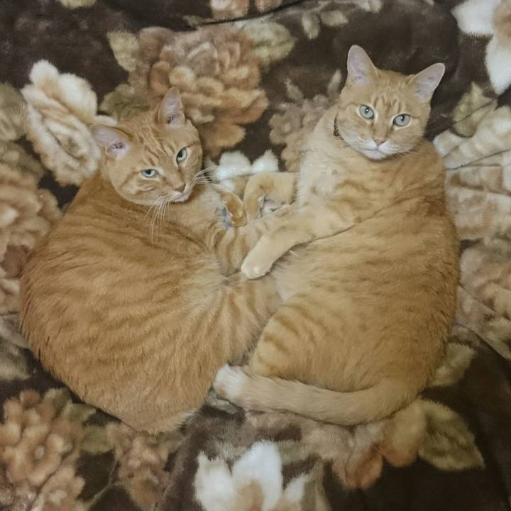 69689547 389d 4bee 949e 23ccaefbd1d5