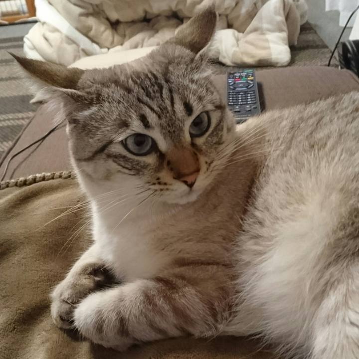 6969b872 3bf9 44c7 8c67 0f5087eafc5f