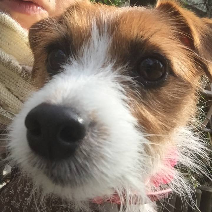 696a5775 d847 4058 bf3c e897a66406d5