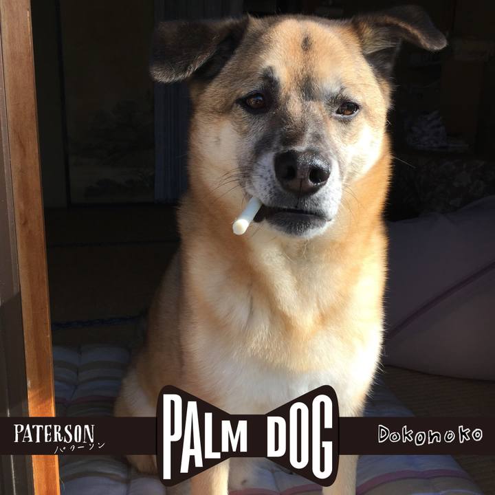 696a7b40 6904 4460 96ef 5719c09afd77