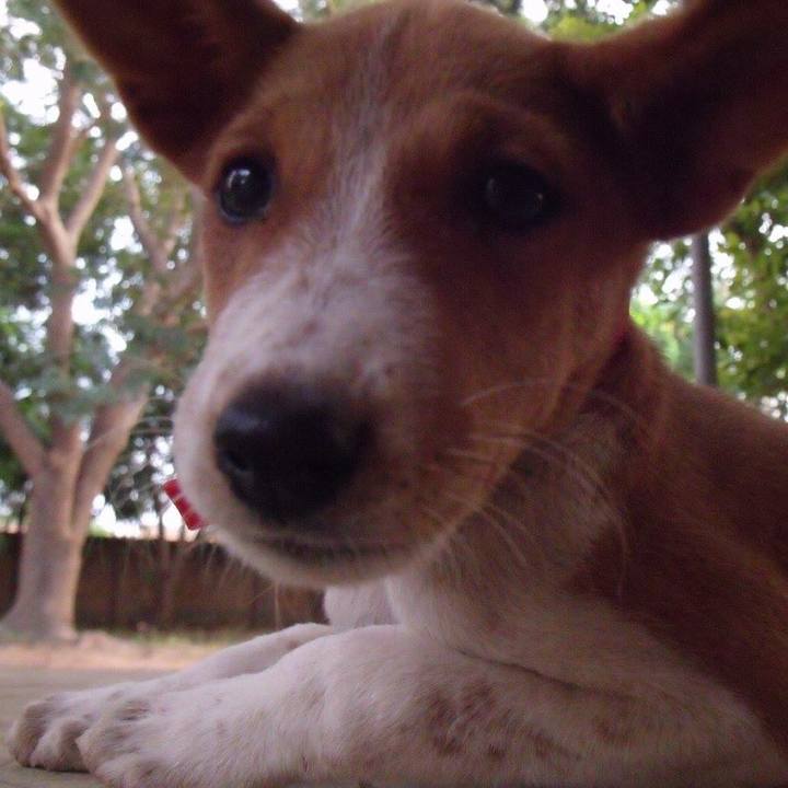 696a8f50 470d 4c18 b646 ba20992fb393