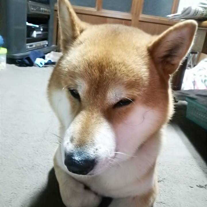 696b1658 7144 42cf ad6a f18eed7a2c59