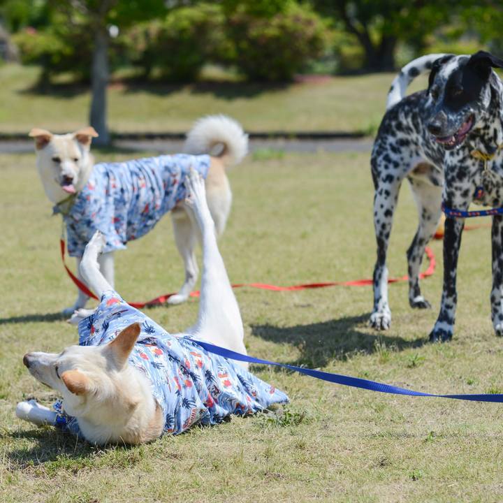 696b6793 e09c 457b a7d0 eedaa50b47de