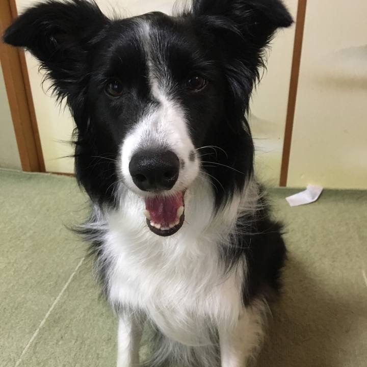 696b8060 675a 4577 9f24 a8150c0a2931