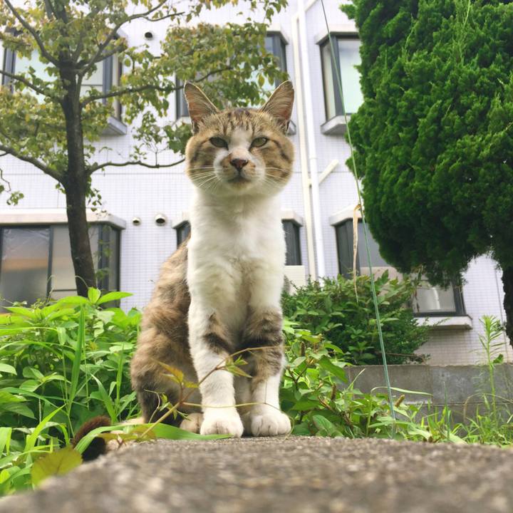 696cc65c 7444 488e 9626 cb9181ba0ac4