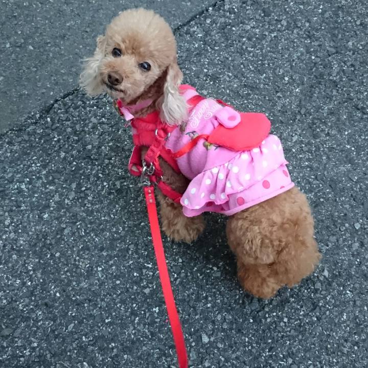 696cf014 d02b 4358 926a 3f86fb4edb34