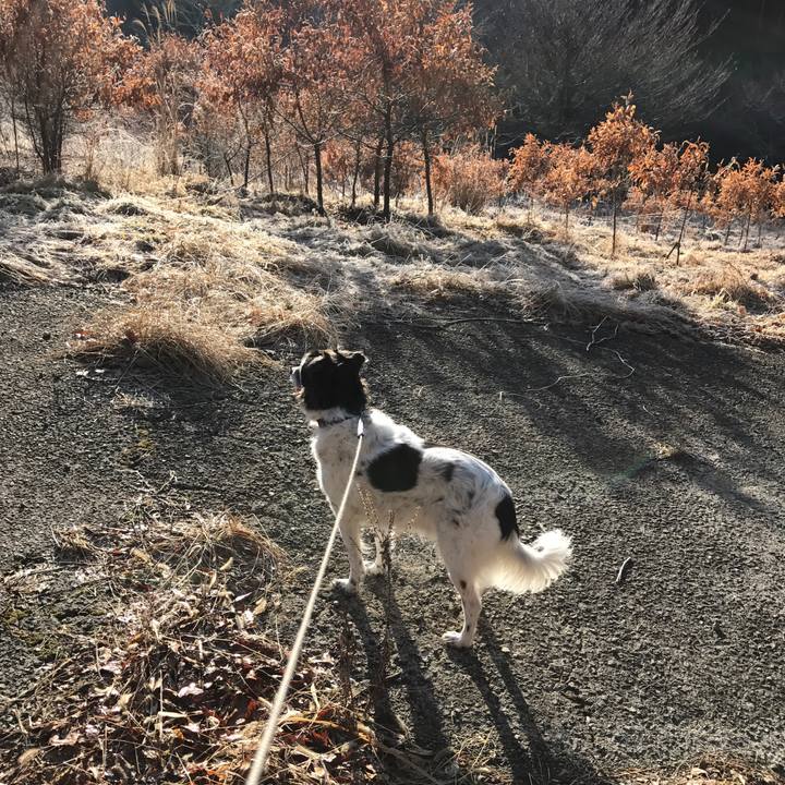 696d0eb6 1d56 478c aa7c 3df35667e576