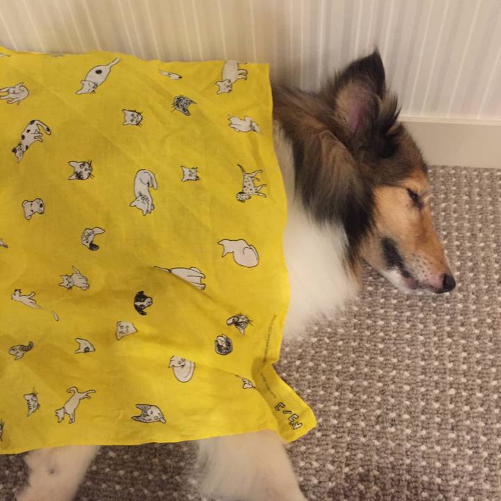 696d3530 dd9c 4416 b938 dd70a1252970