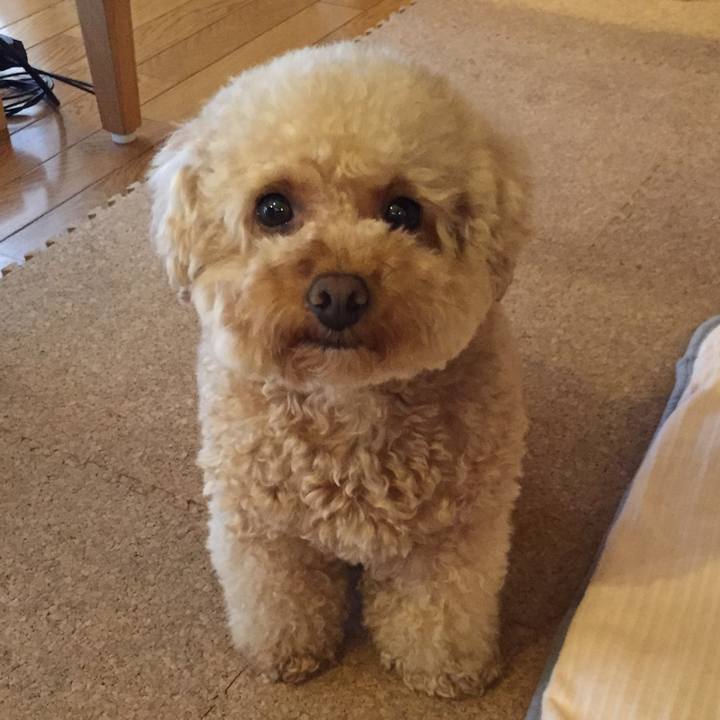 696d9f18 e664 4673 995a bd13a38fd0b4