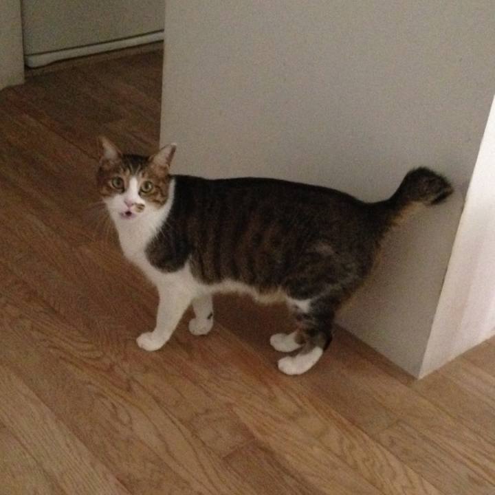 696dee1e 23f3 4230 b7f1 1520f123a9d9