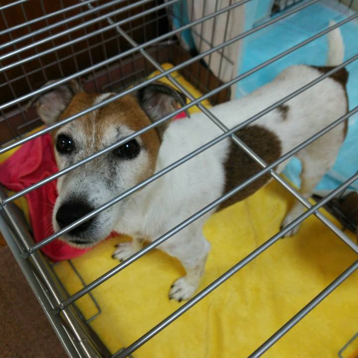 696e0a88 cc9d 4b47 8371 418298986e53