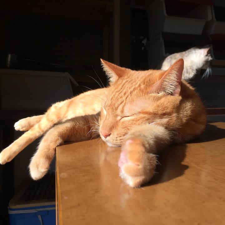 696e250a 6183 47d5 bc77 3386fbc7635b