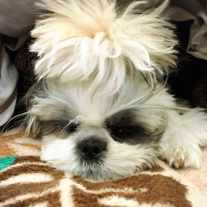 696e7ec5 3841 4705 b62c 6215d6e26ef0