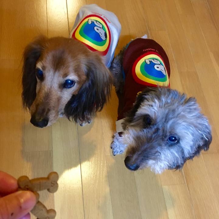 696ea49c 5966 41c4 8b9d a58e03c6d225