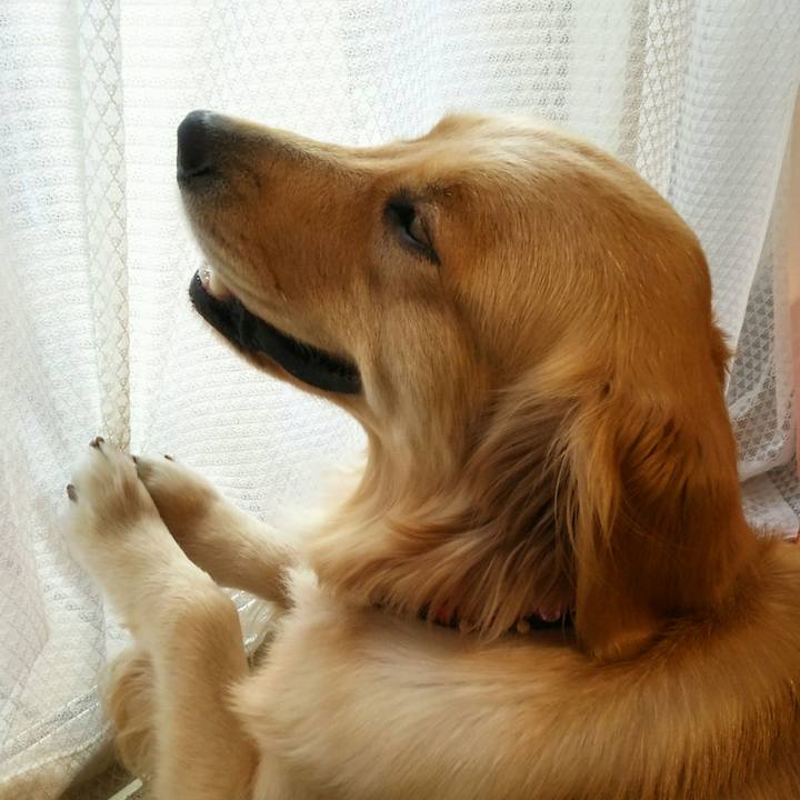 696ea9e5 c667 43c0 9ebd dd215d7fdb3c