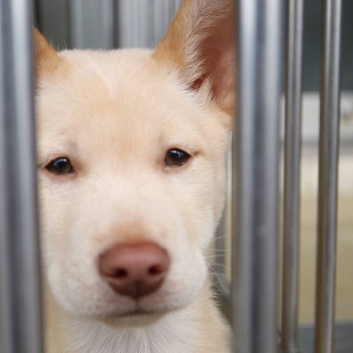 696eb9ca fc2e 4c84 b8af aebc5476d835