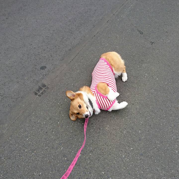 696ef00c 448d 49fc a940 a79dd7bd8d8e