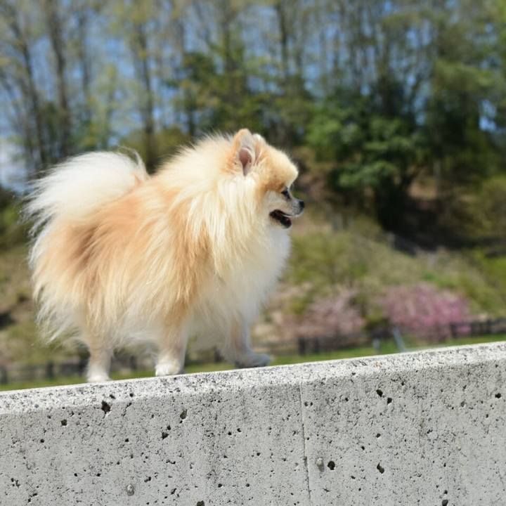 696fb0d9 03ef 4f4e 9bf0 d055f3178e23