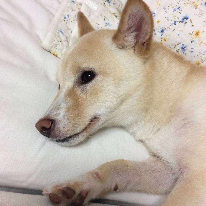 697000c5 86b2 48db b9b0 08008b3b5053