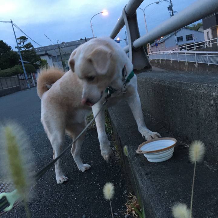 69700d9f cbab 4b1a 8699 8810e9867226