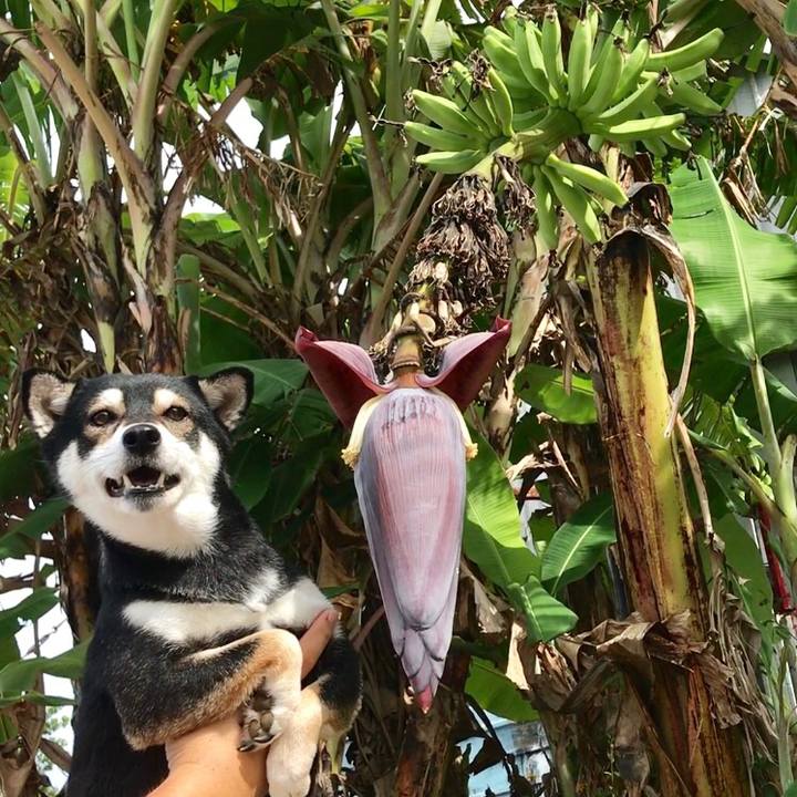 6970b1bd e9c6 4a55 b8b3 cb20560a5f4d