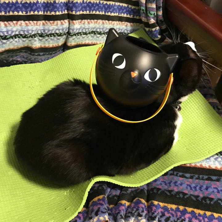 6970c42a 95d1 4fb8 924f 17573c295917