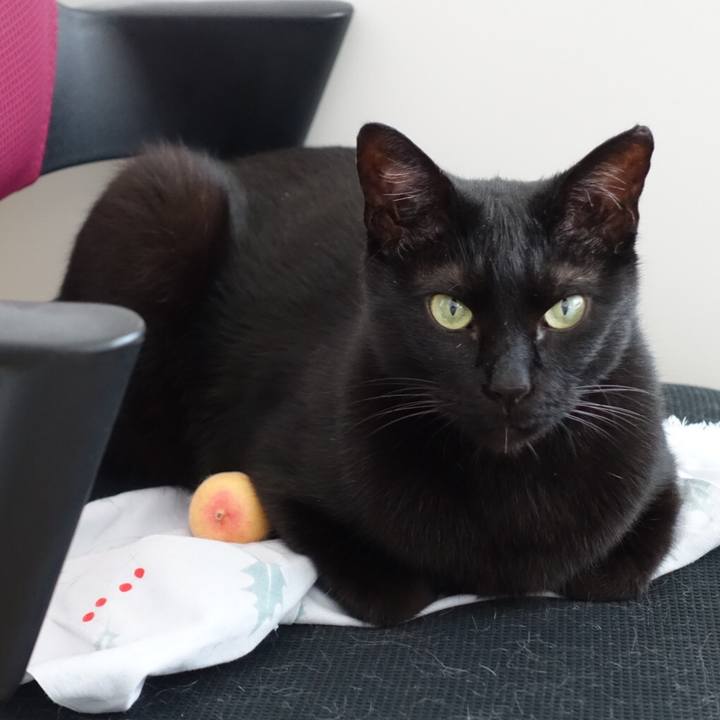 69710b4d d249 4cb1 9fba e0bfe5c0dc50