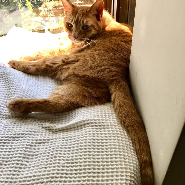 6972a090 7dcc 4006 932a 86cd5b660b7f