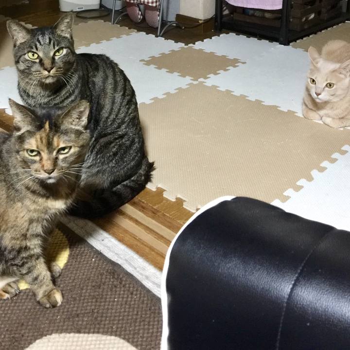 6972fdca 7caa 4d54 870d fe0a9d12e34f