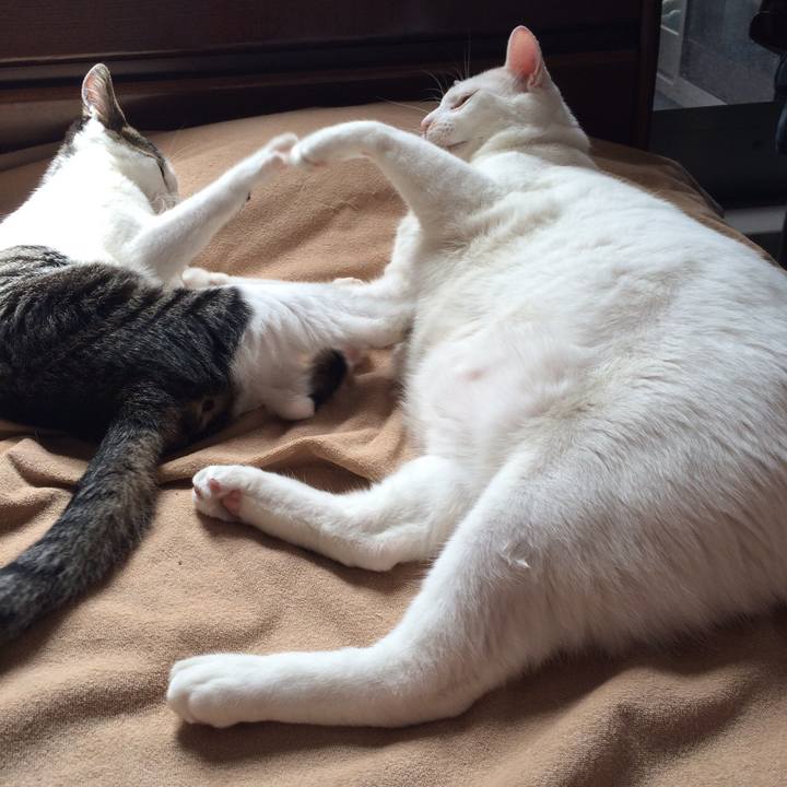 6973afb8 9e8b 4bb8 bda5 c2c86da9dcbb