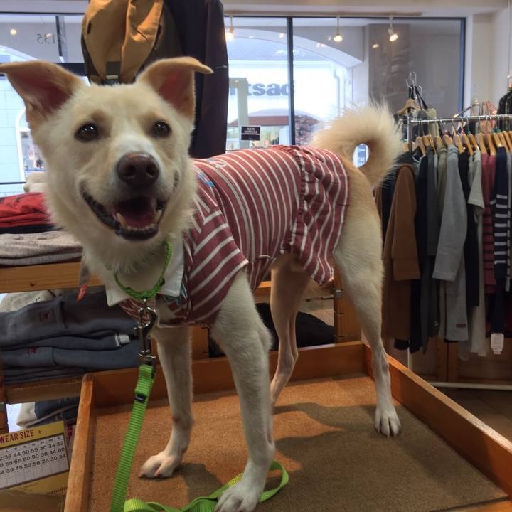 69740fe9 c255 4662 b7cb 0aa472e66995