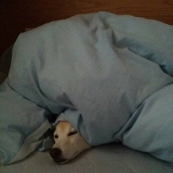 69746d89 bbcf 4f6c beef a3fcee8dd253