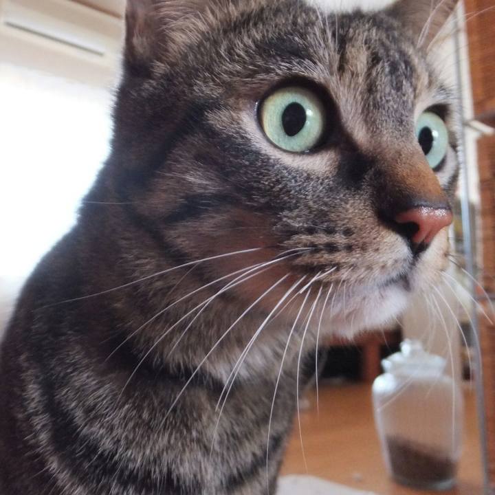 6974e9f1 ed87 4e21 a9d8 a61e3128a634