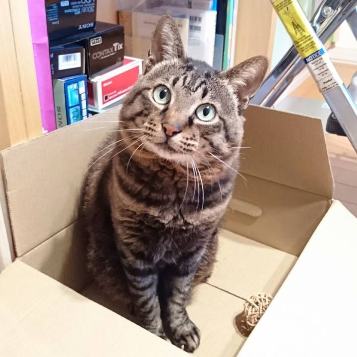 69752285 2e41 47c7 a7bd df3618d64f96