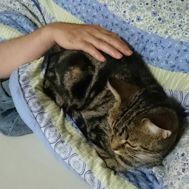 69752dcd 7512 48a3 953e db5072986a6b