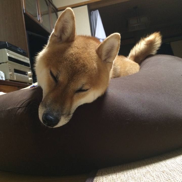 69756753 73d2 45c1 aa20 e3ebccbe1430