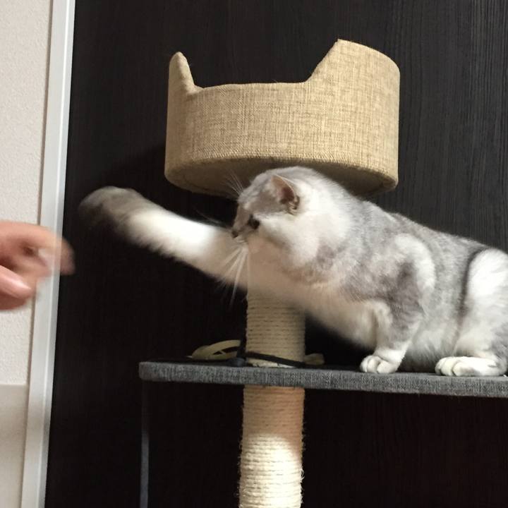 697593f3 7a26 4e0c 9be4 740fcff2e19d