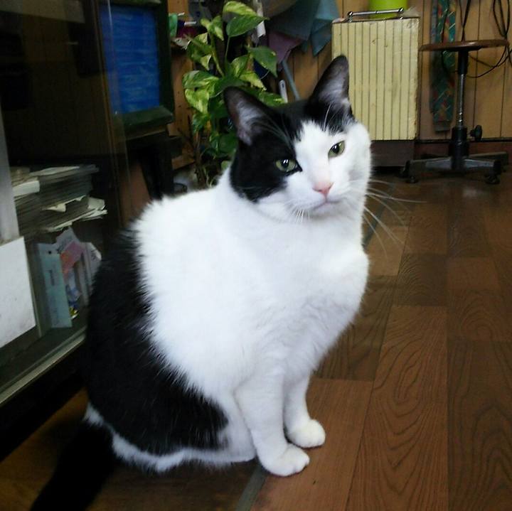 6975d617 3914 4634 a9a9 27b56ac81d57