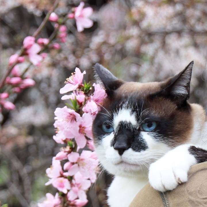 6975ee2c c4f3 4477 a9af 2860b8ced1e6