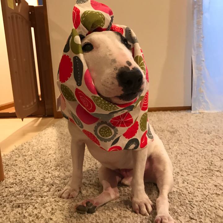 6976b523 8fa8 4b85 a1aa 26fc5f35af87